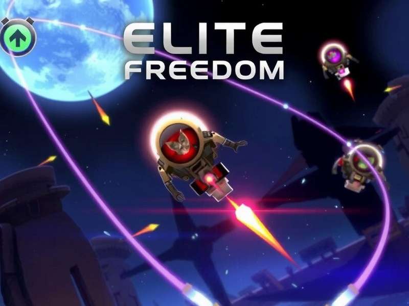 Elite Vs Freedom PC Gameplay Screenshot showing intense action